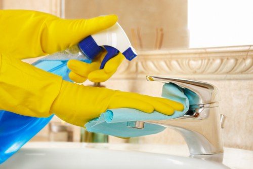 Steam and hot water extraction sofa cleaning service