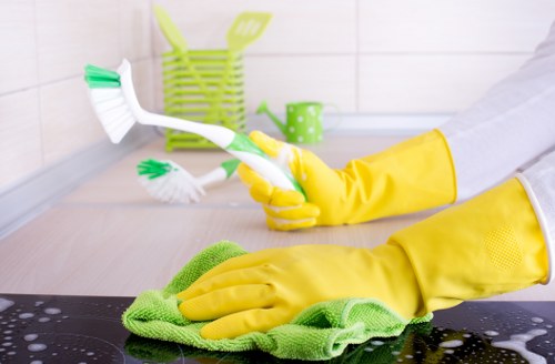 Deep cleaning upholstery fabric in a Southall home