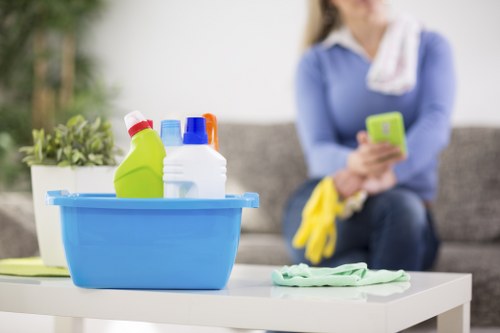 Deep steam carpet cleaning removing stains and dirt from carpet fibres