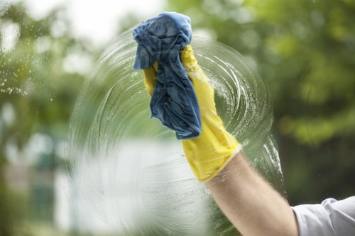 Professional pet odour neutralisation for carpets